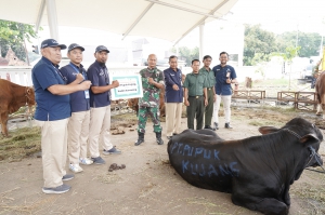 Panitia Idul Adha Pupuk Kujang saat menyerahkan hewan kurban untuk disalurkan ke masyarakat Karawang (ml/KP)